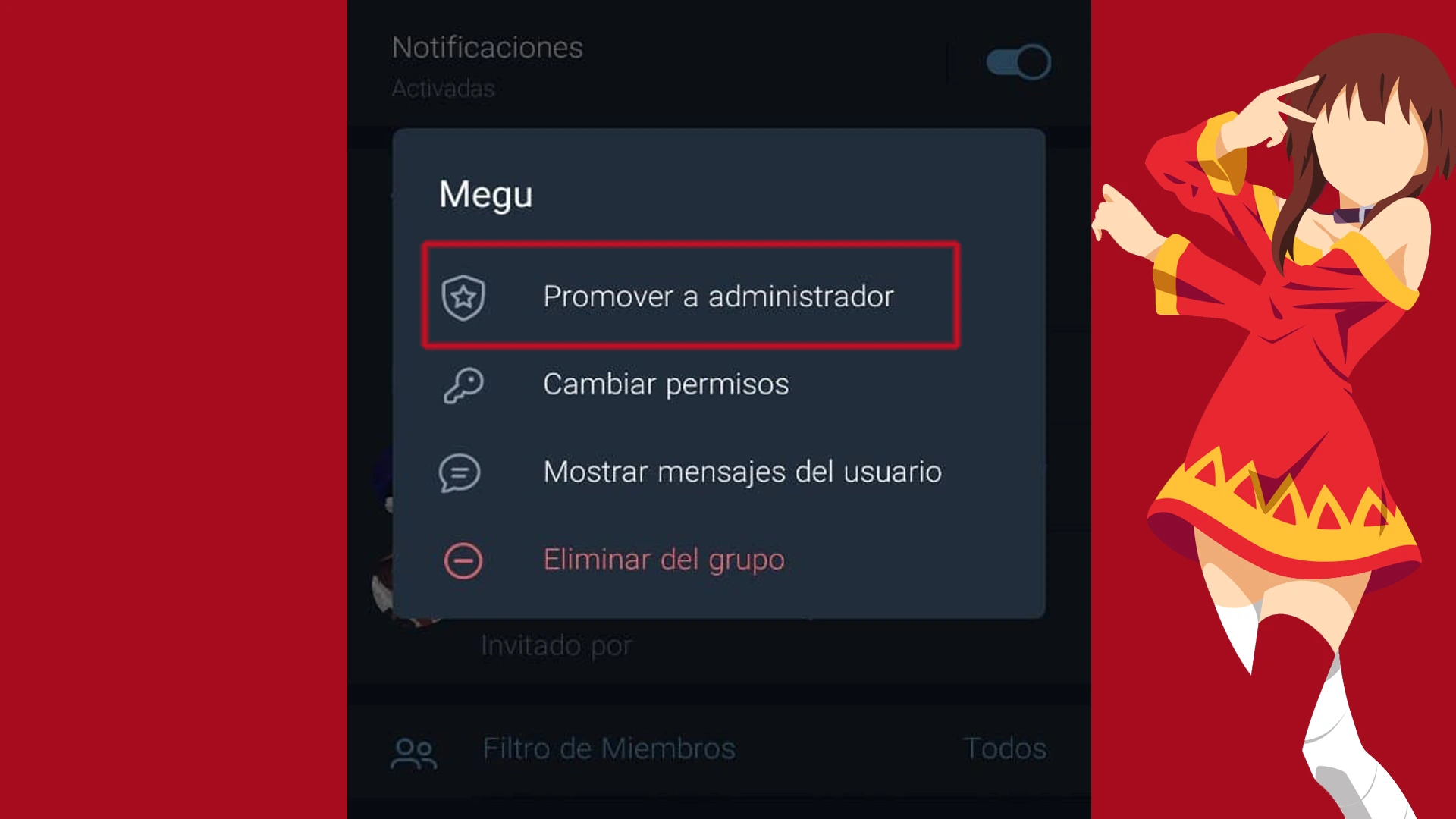 Pulsa sobre Megu y haz click en Promover Administrador.